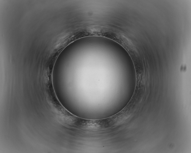 X0000090890702200707271332