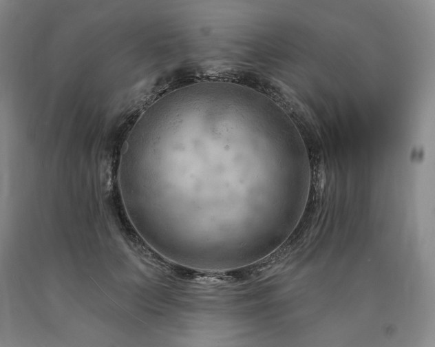 X0000090890703200707271332