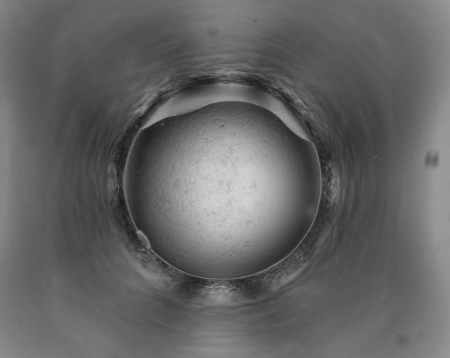 X0000090890704200707271332