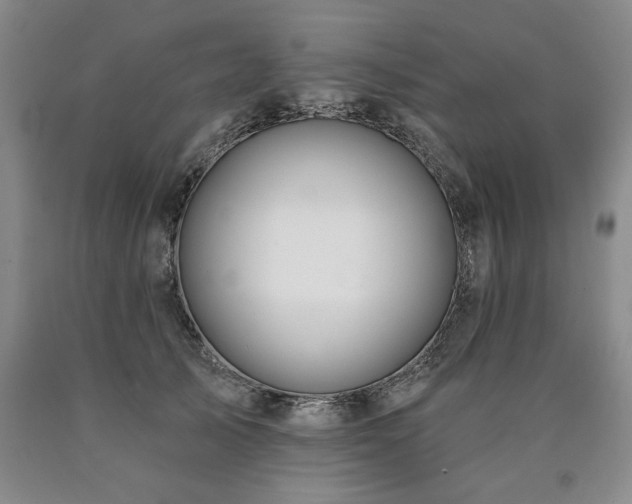 X0000090890705200707271332