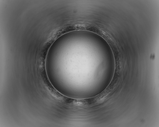 X0000090890706200707271332