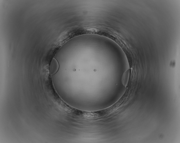 X0000090890707200707271332