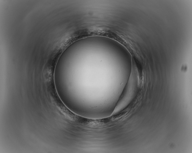 X0000090890708200707271332