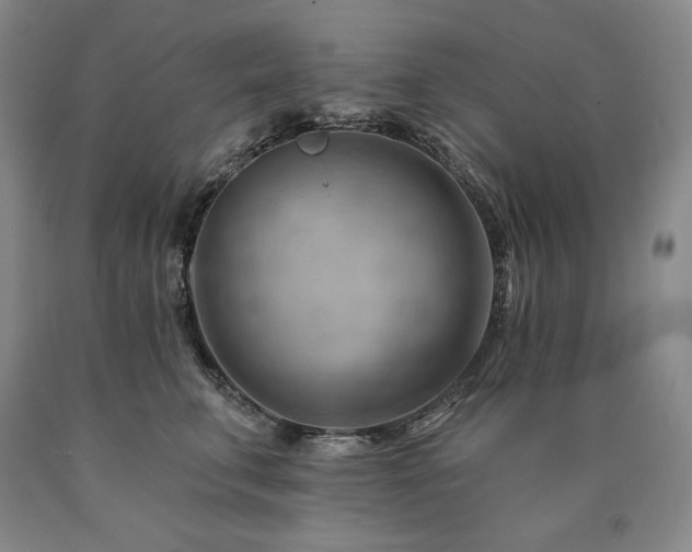 X0000090890711200707271332