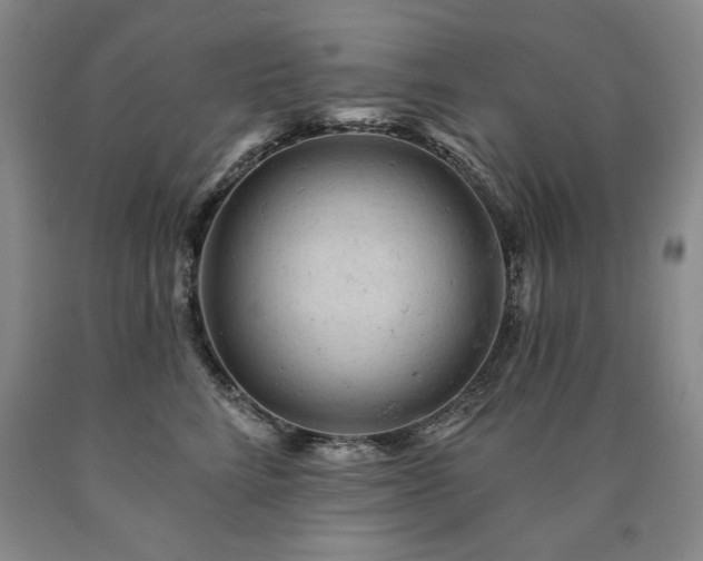 X0000090890712200707271332