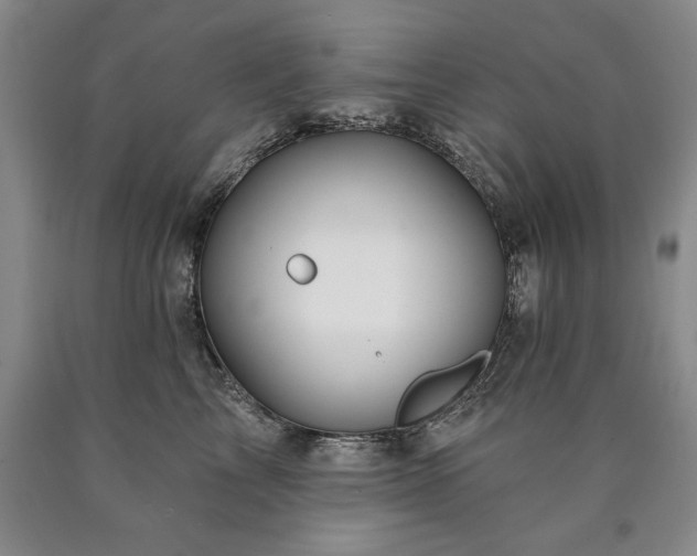 X0000090890713200707271332