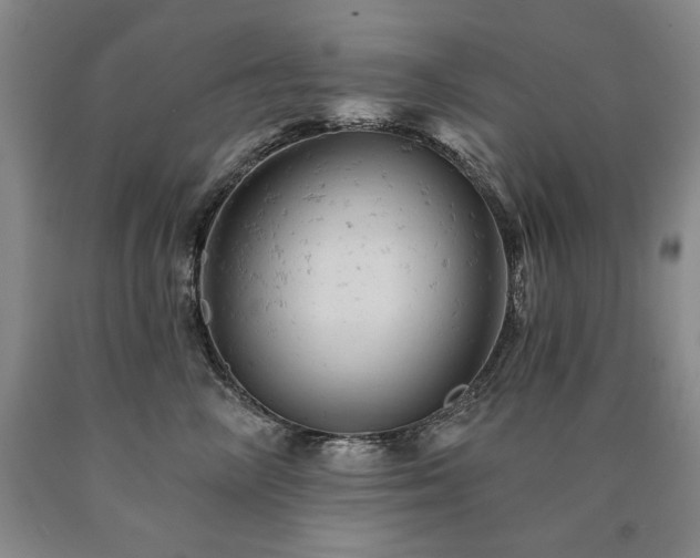 X0000090890714200707271332