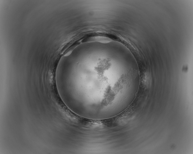 X0000090890715200707271332