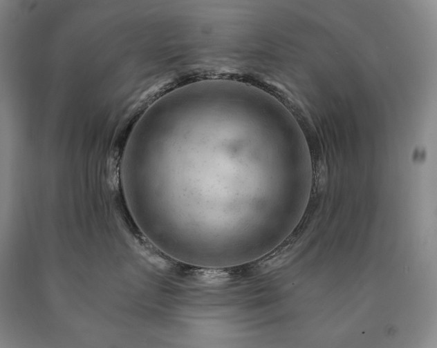 X0000090890719200707271332