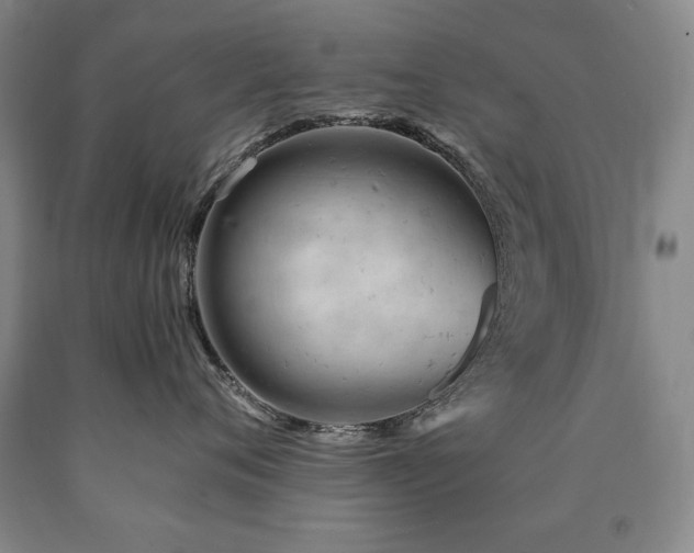 X0000090890720200707271332