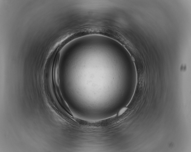 X0000090890722200707271331