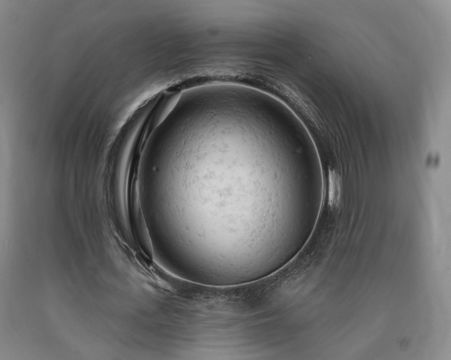 X0000090890723200707271331