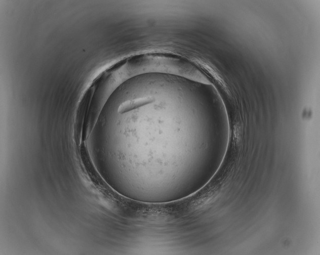 X0000090890724200707271331