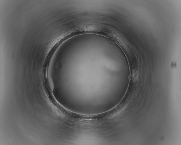 X0000090890725200707271331