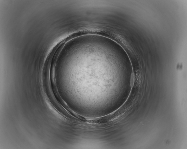 X0000090890726200707271331