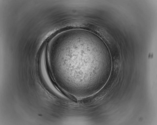 X0000090890727200707271331