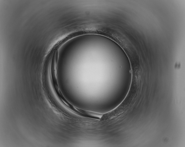 X0000090890728200707271331