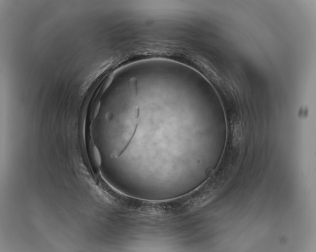 X0000090890729200707271331