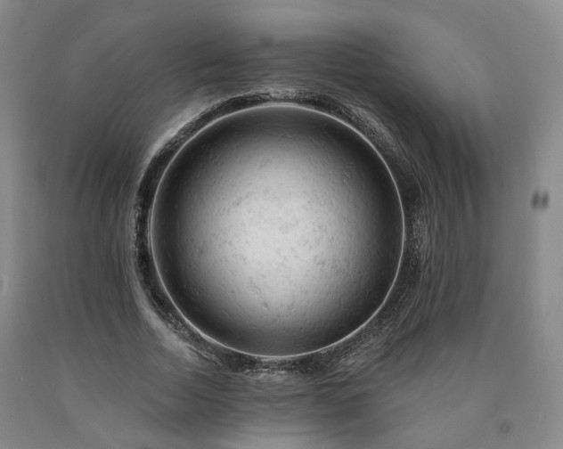 X0000090890730200707271331