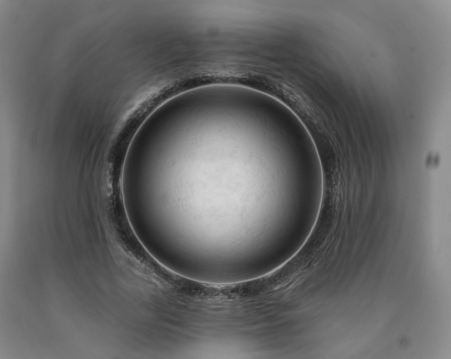 X0000090890731200707271331