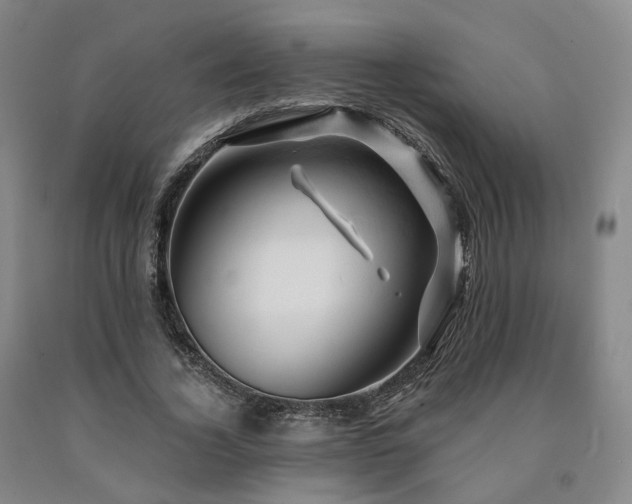 X0000090890732200707271331