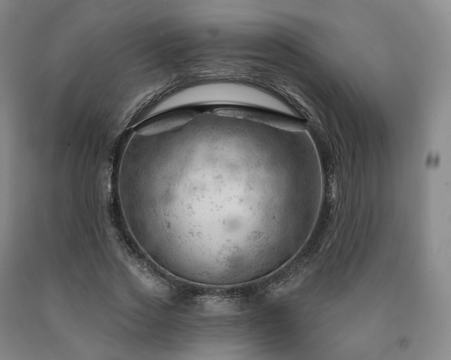 X0000090890733200707271331