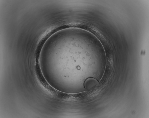 X0000090890734200707271331