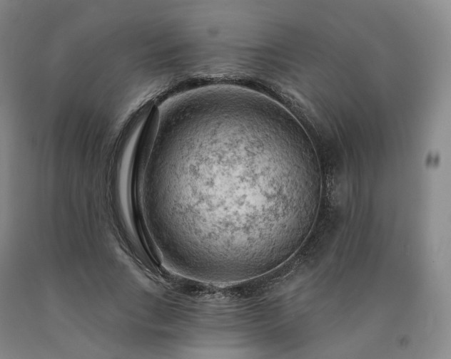 X0000090890735200707271331