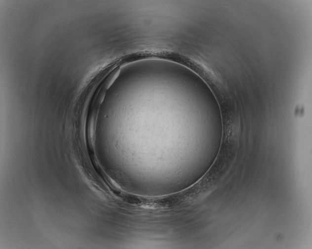 X0000090890736200707271331