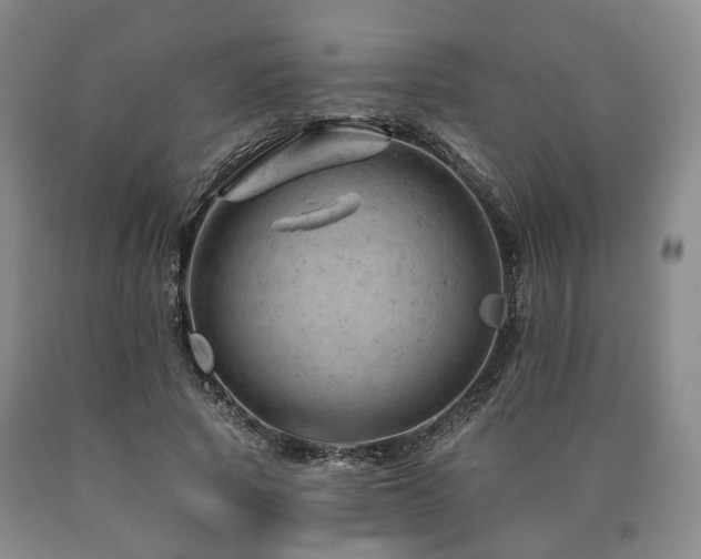 X0000090890737200707271331