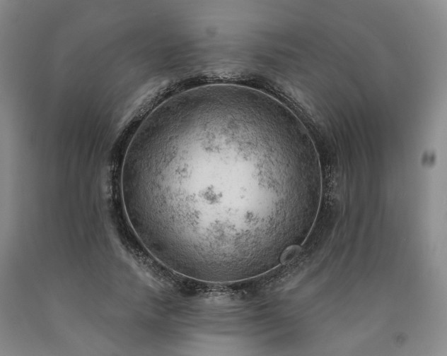 X0000090890738200707271331