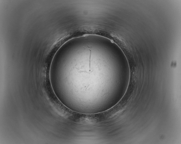 X0000090890739200707271331