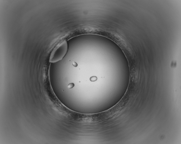 X0000090890740200707271331