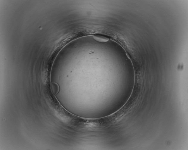 X0000090890741200707271331