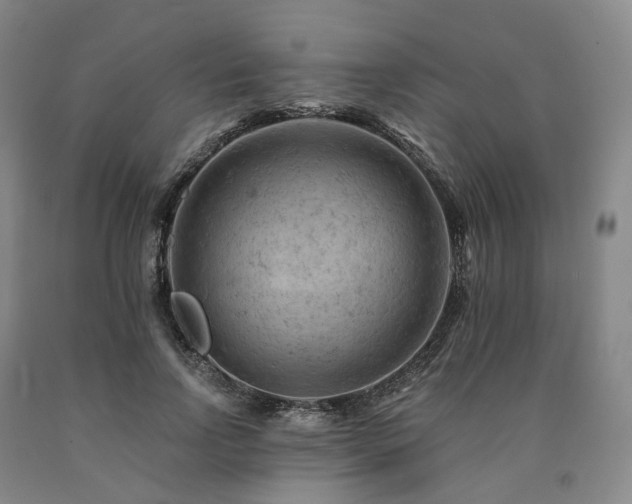 X0000090890742200707271332