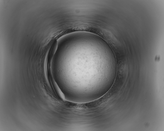 X0000090890743200707271332