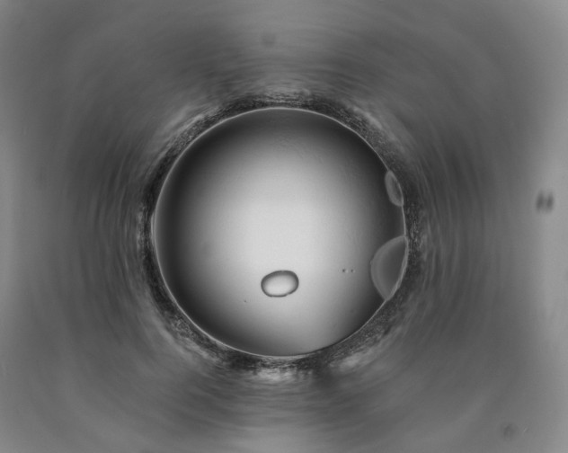 X0000090890744200707271332