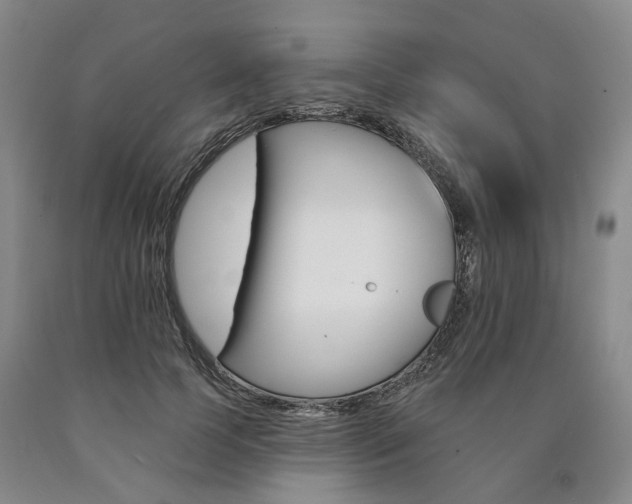 X0000090890745200707271332