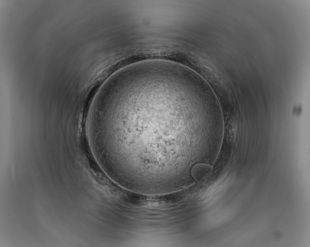 X0000090890746200707271332