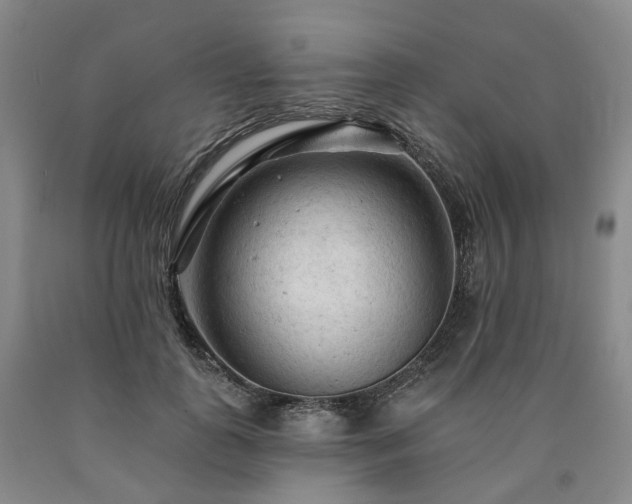 X0000090890747200707271332