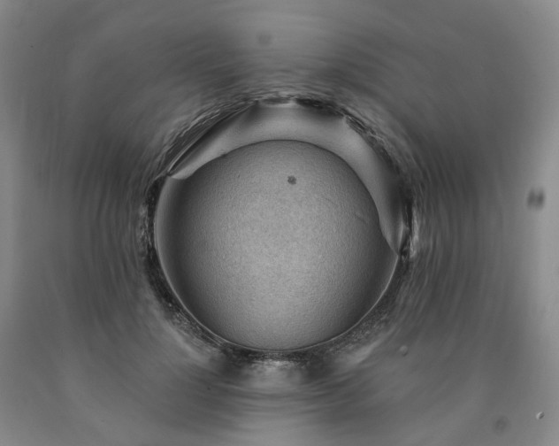 X0000090890748200707271332