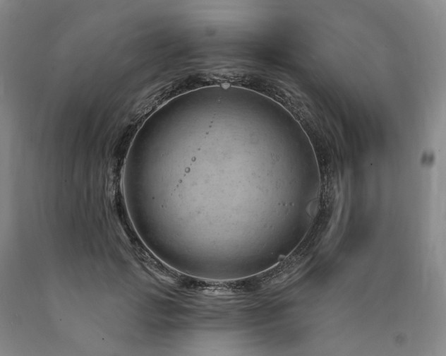 X0000090890749200707271332