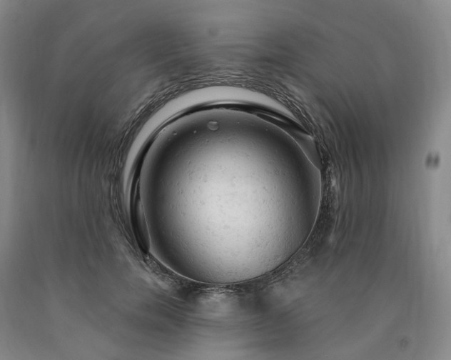 X0000090890750200707271332