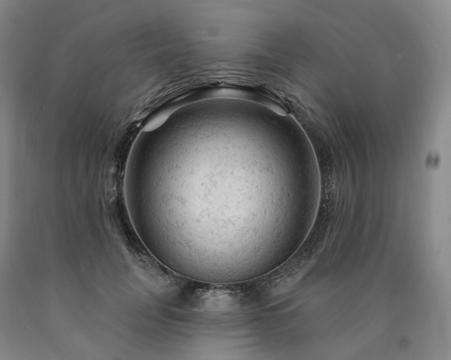 X0000090890751200707271332