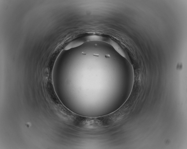 X0000090890752200707271332