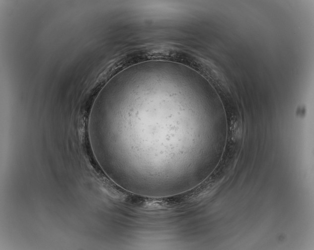 X0000090890753200707271332