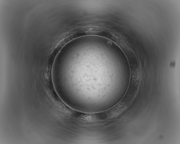 X0000090890755200707271332