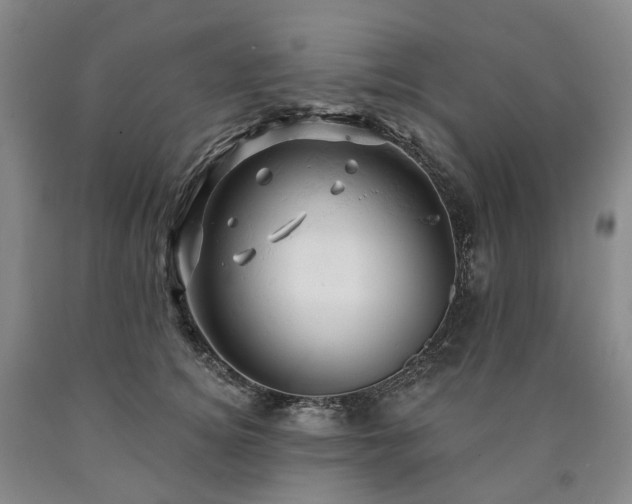 X0000090890756200707271332