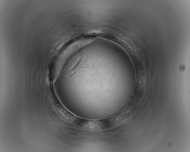 X0000090890758200707271332