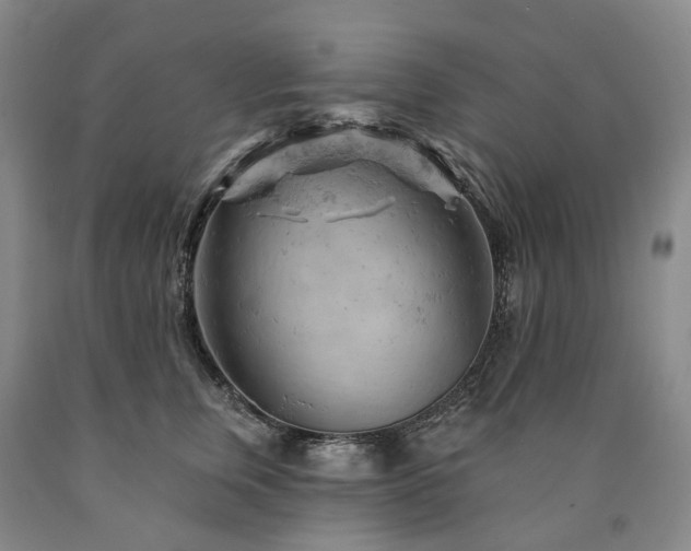 X0000090890759200707271332